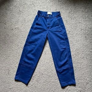 Everlane The Utility Barrel Pant